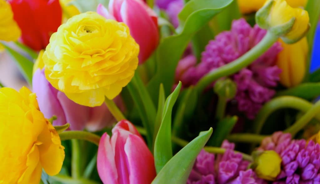 Tupelo Florist Flower Delivery by Jody's